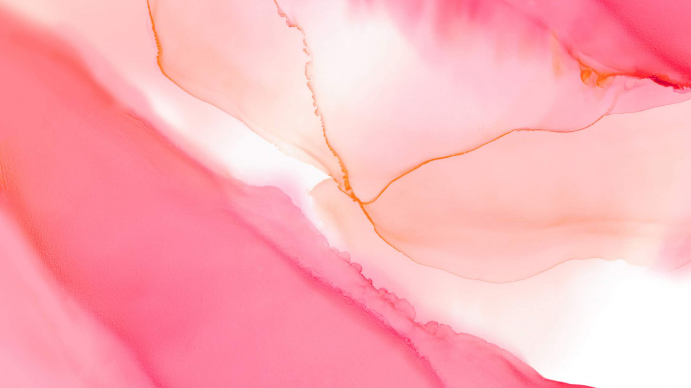 Обои Huawei, Huawei Honor 20, huawei honor 20 pro, цветок, красный цвет в разрешении 1366x768