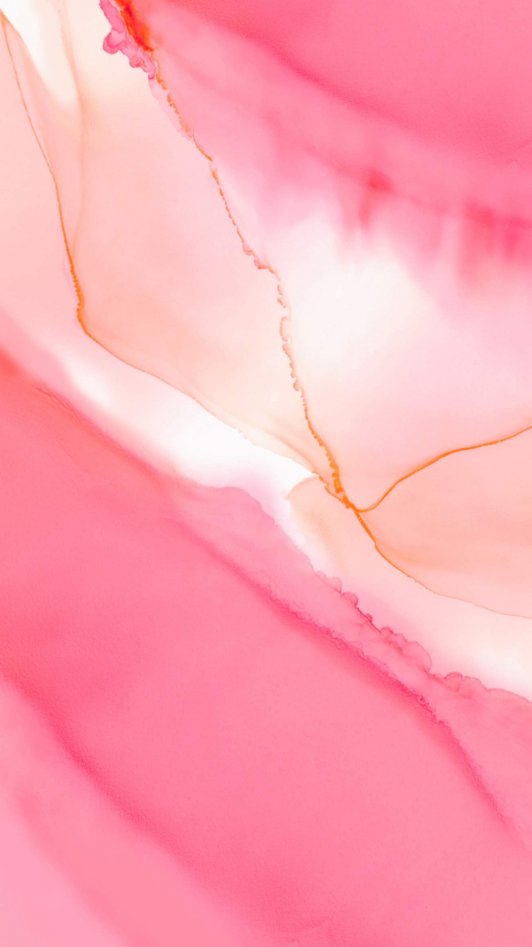 Обои Huawei, Huawei Honor 20, huawei honor 20 pro, цветок, красный цвет в разрешении 750x1334