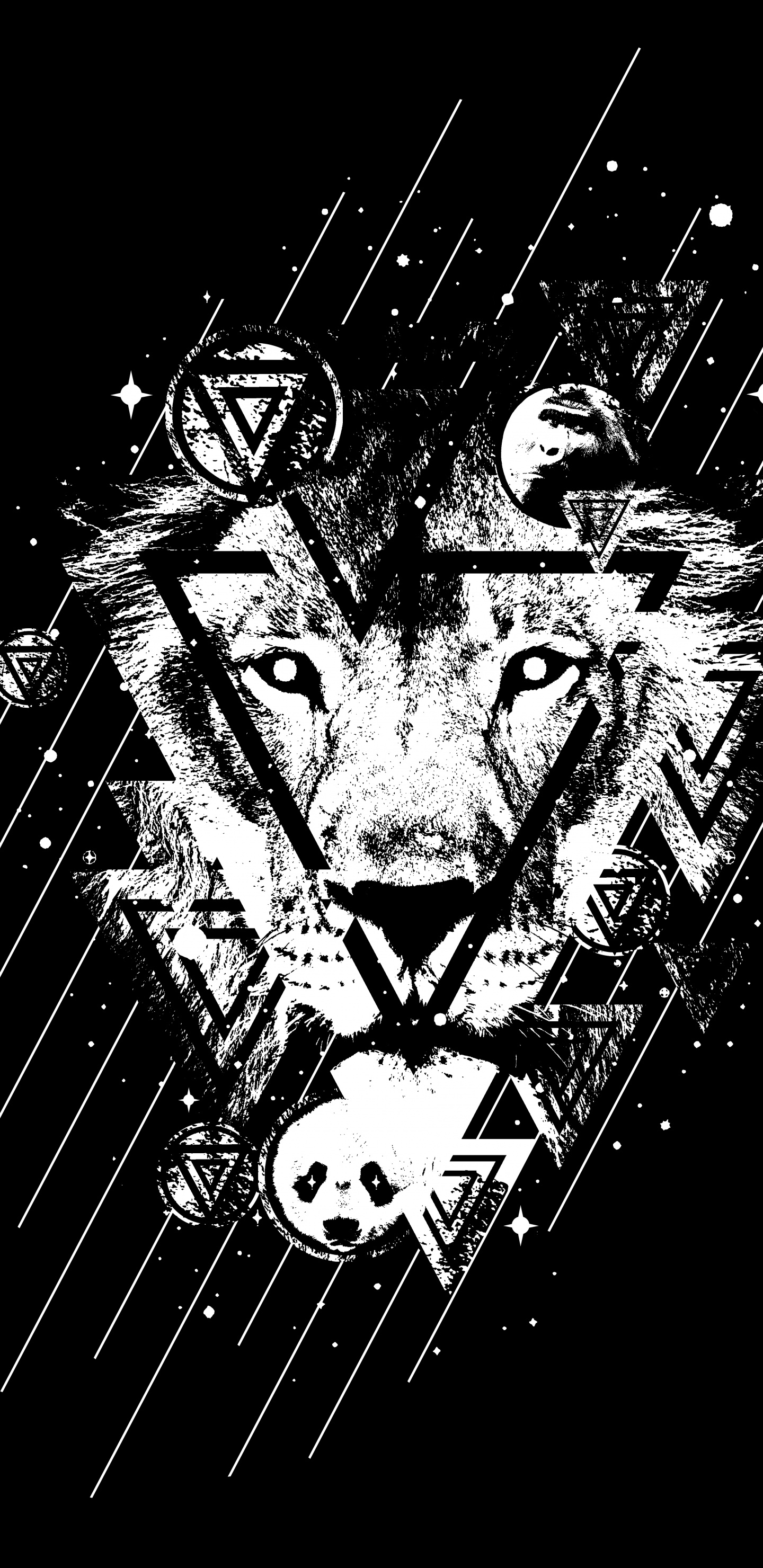 Обои дизайн, Черный Белый - М, монохромный, иллюстрация, графический дизайн в разрешении 1440x2960