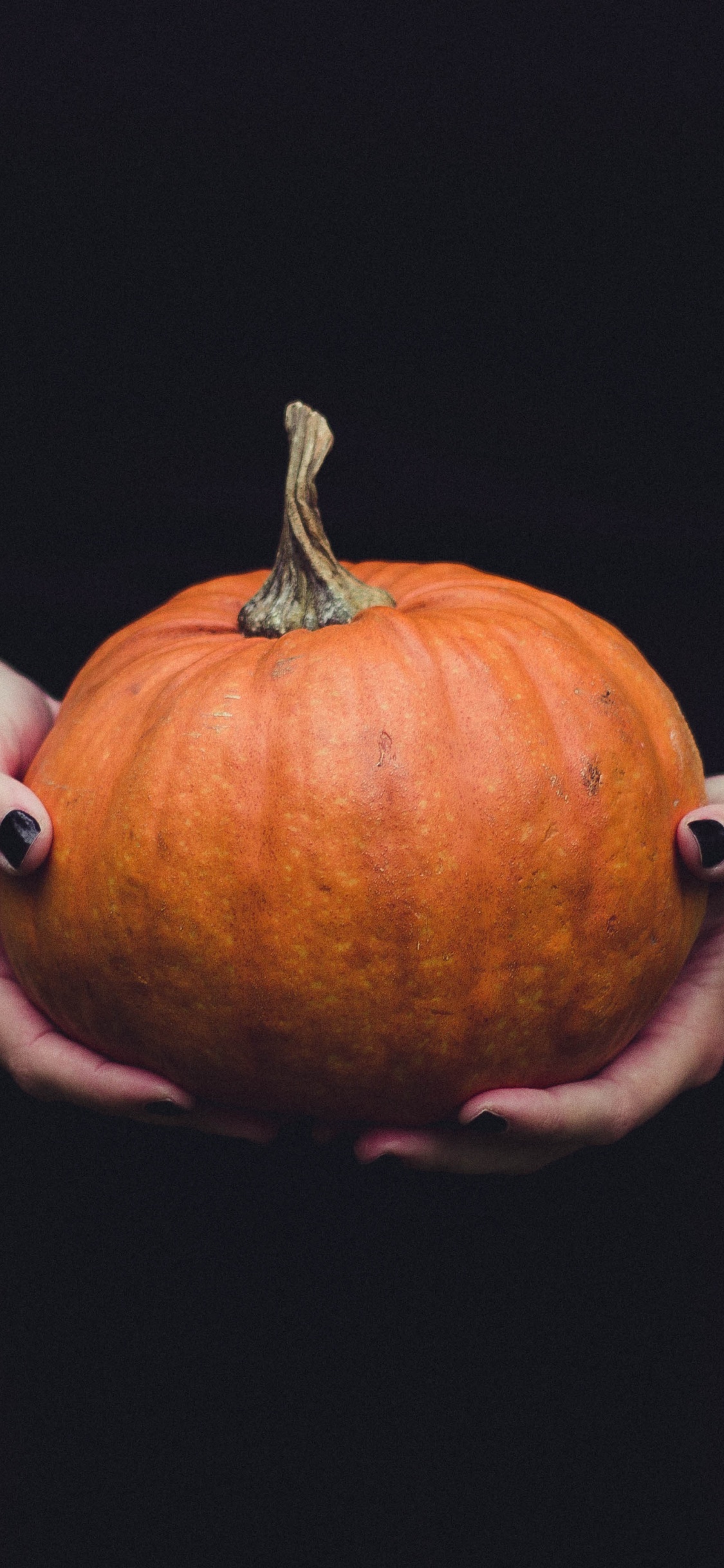 Обои тыква, калебас, зимний сквош, Апельсин, фрукты в разрешении 1125x2436