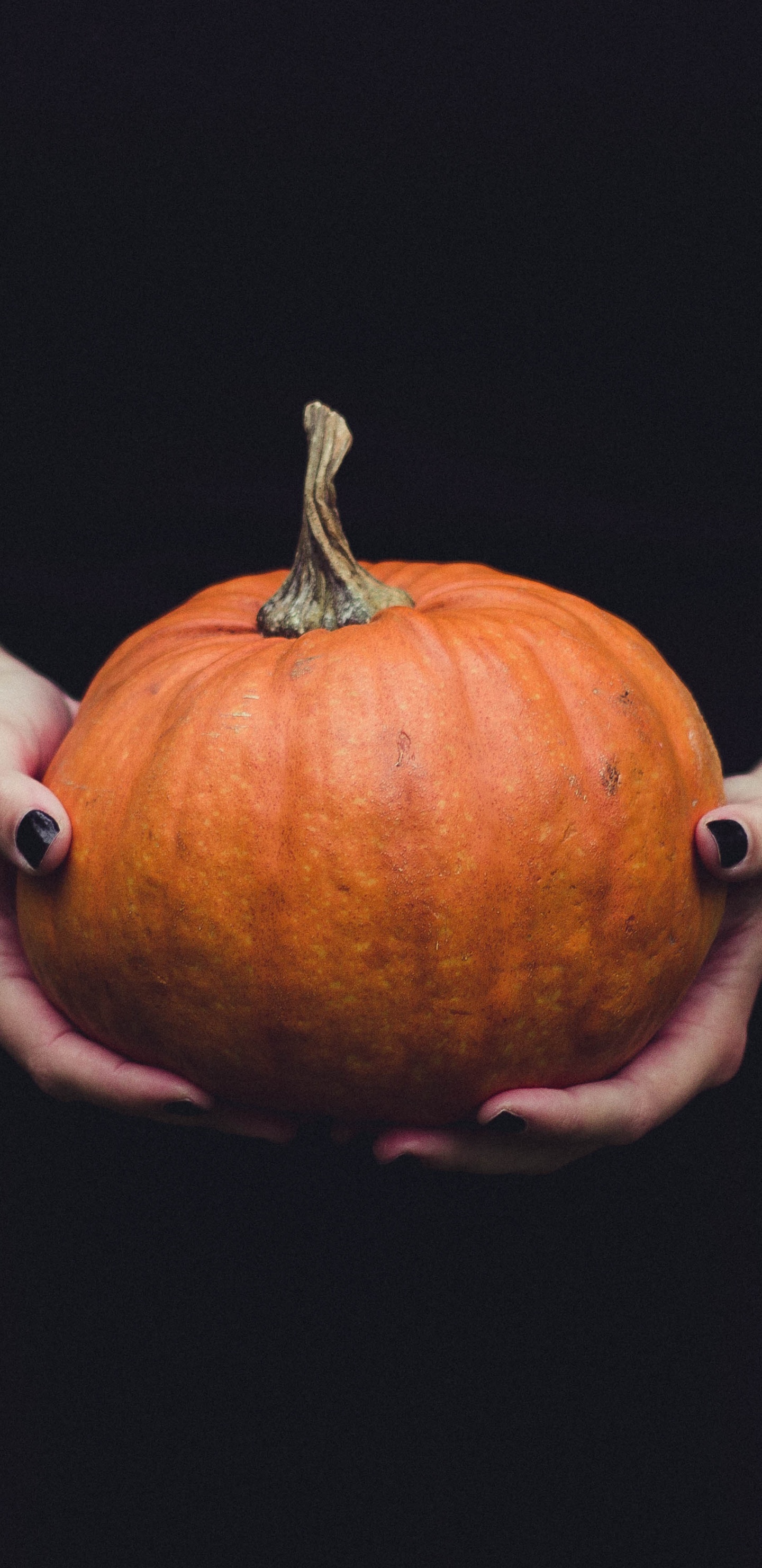 Обои тыква, калебас, зимний сквош, Апельсин, фрукты в разрешении 1440x2960