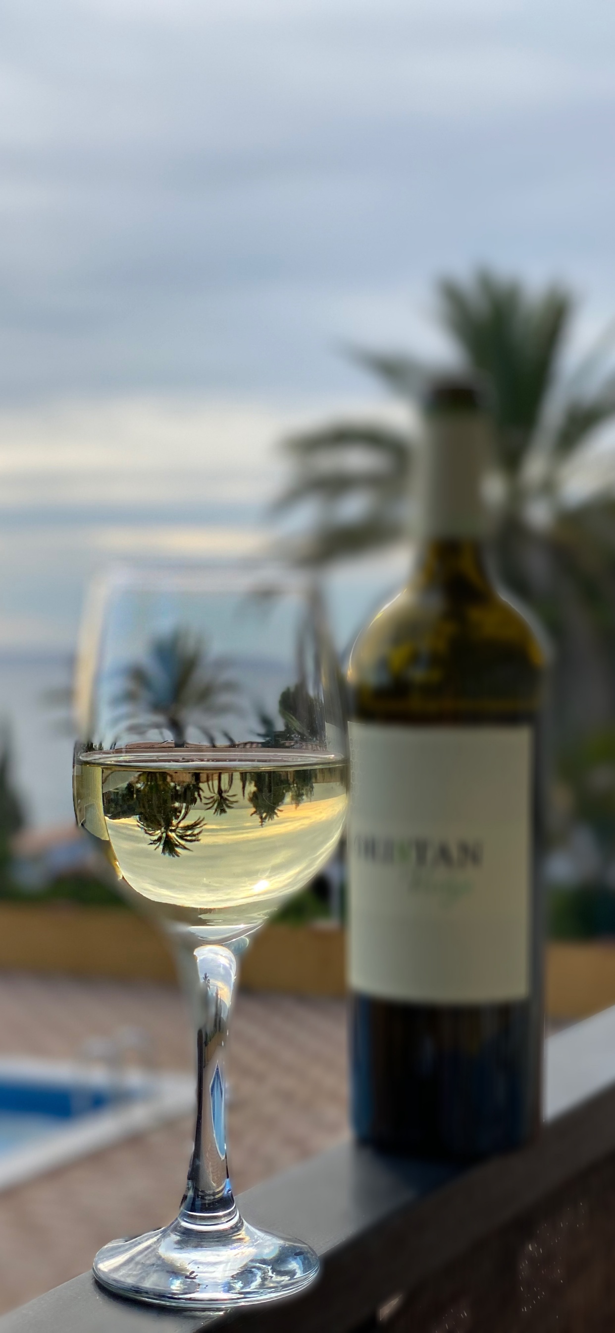 Обои напиток, вино, бокал для вина, вода, рюмки в разрешении 1242x2688