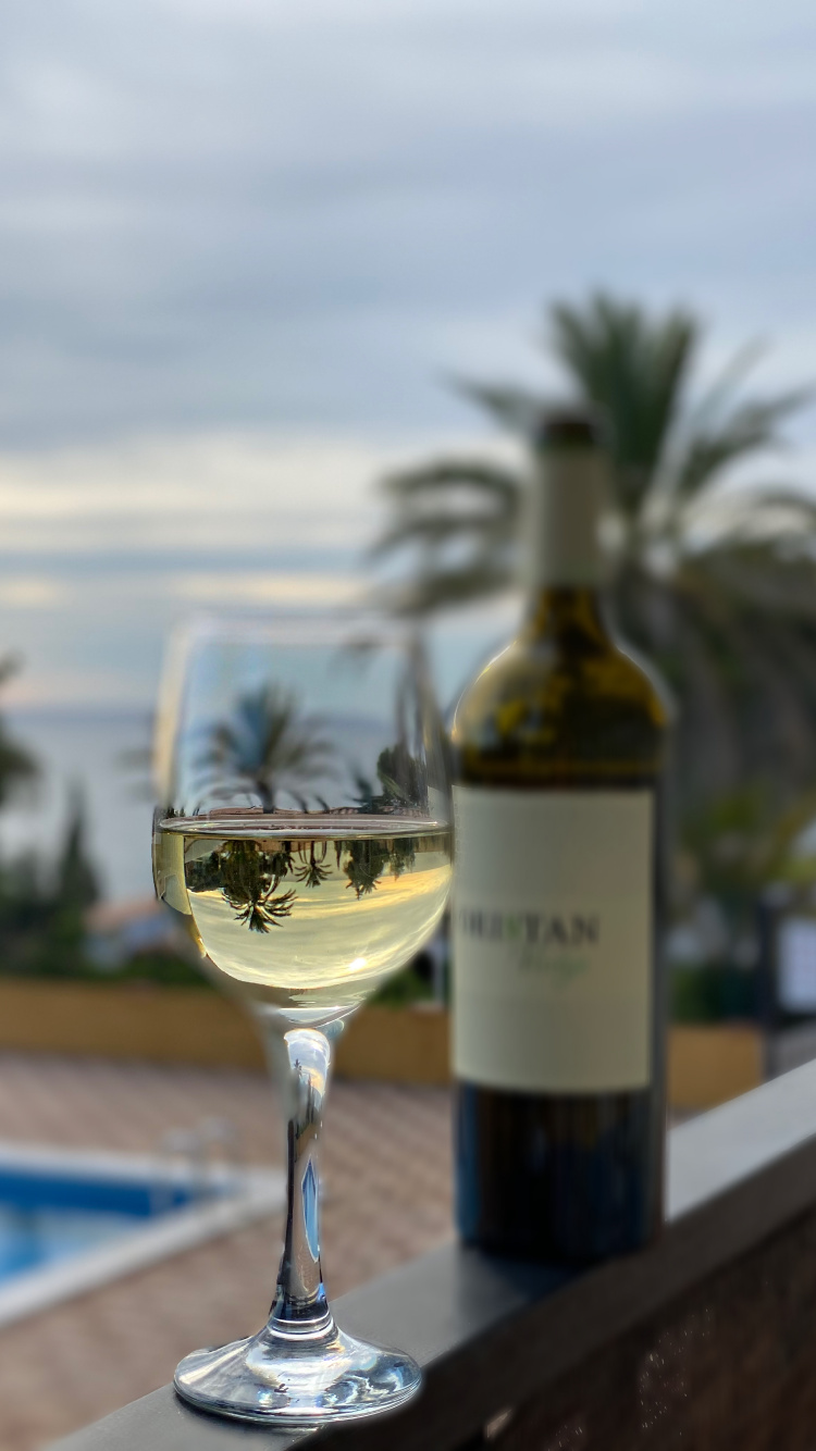 Обои напиток, вино, бокал для вина, вода, рюмки в разрешении 750x1334