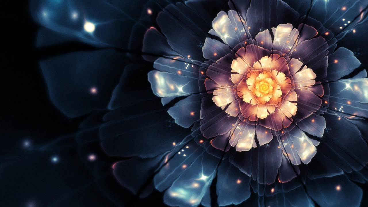 Обои цветок, лепесток, растение, волшебный цветок, завод в разрешении 1280x720