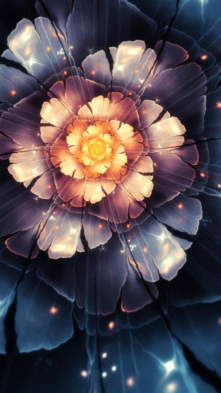 Обои цветок, лепесток, растение, волшебный цветок, завод в разрешении 720x1280