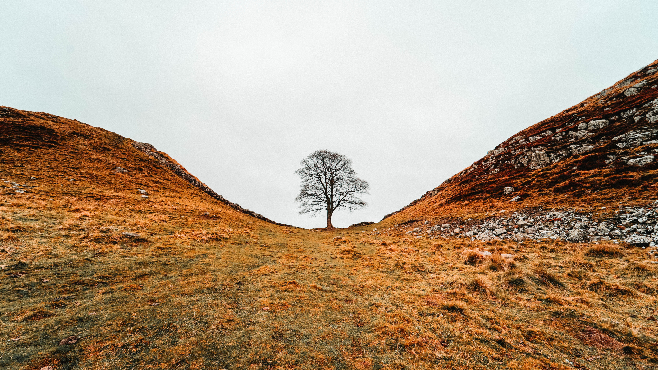 Обои холм, хребет, природный ландшафт, окружающая среда, гора в разрешении 2560x1440
