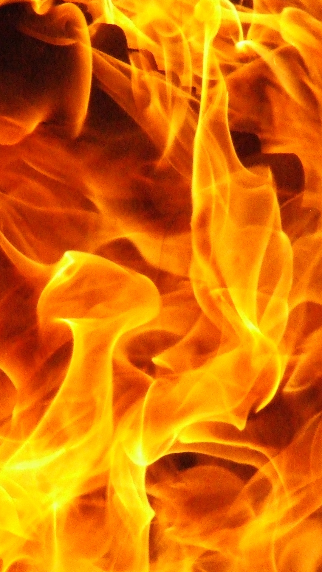 Обои огонь пламя, пламя, огонь, тепло, пожар в разрешении 1080x1920