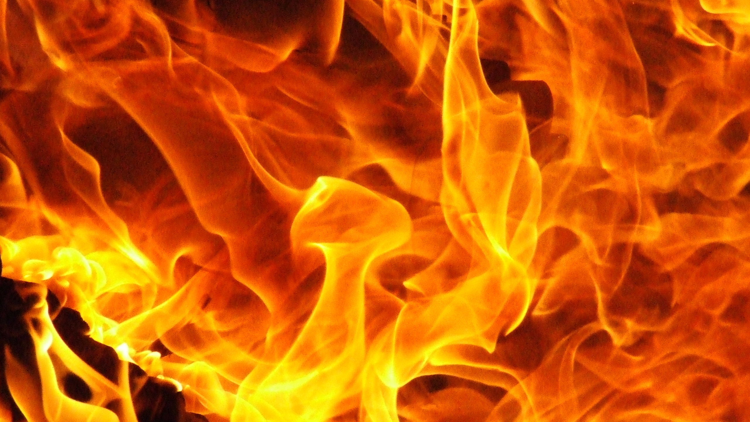 Обои огонь пламя, пламя, огонь, тепло, пожар в разрешении 2560x1440