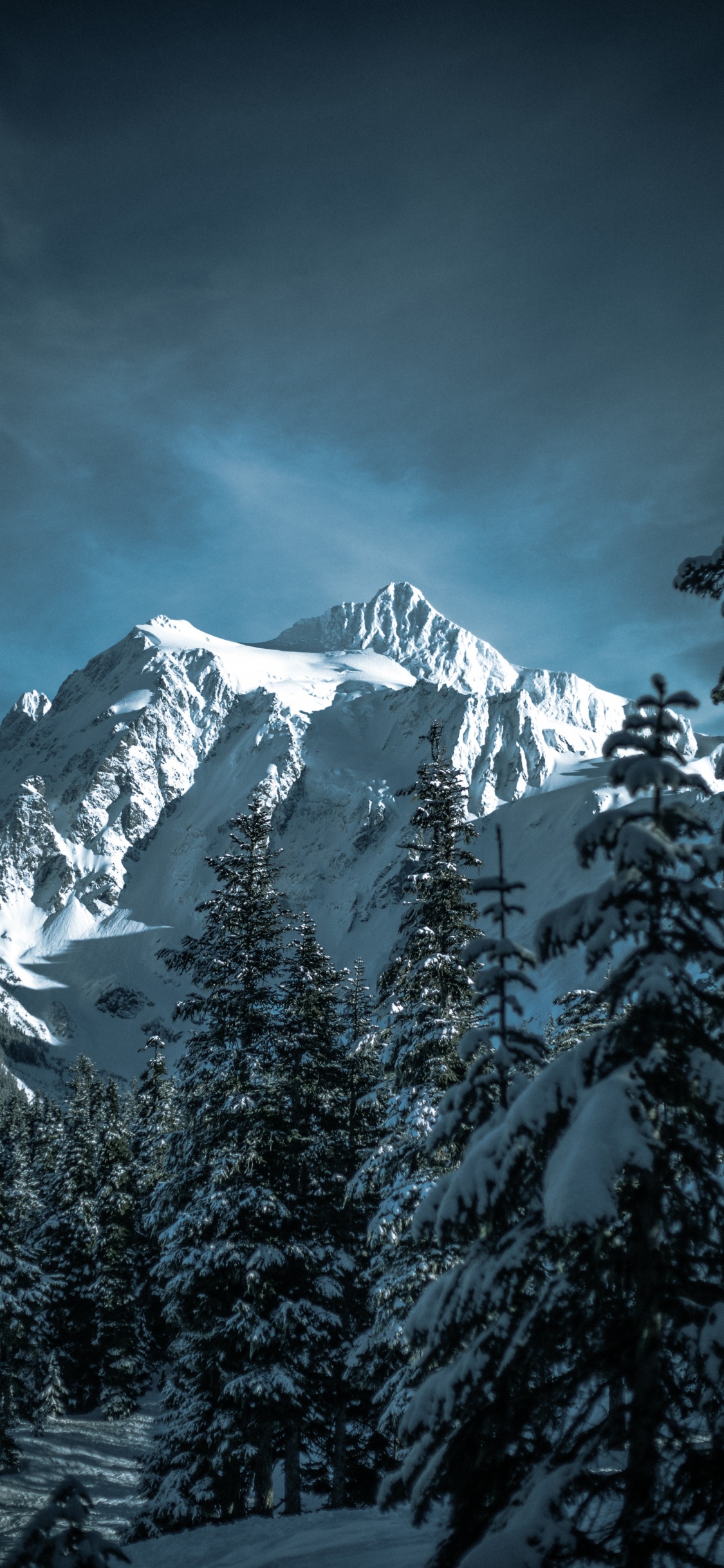 Обои зима, лыжи, снег, гора shuksan, горный рельеф в разрешении 1125x2436