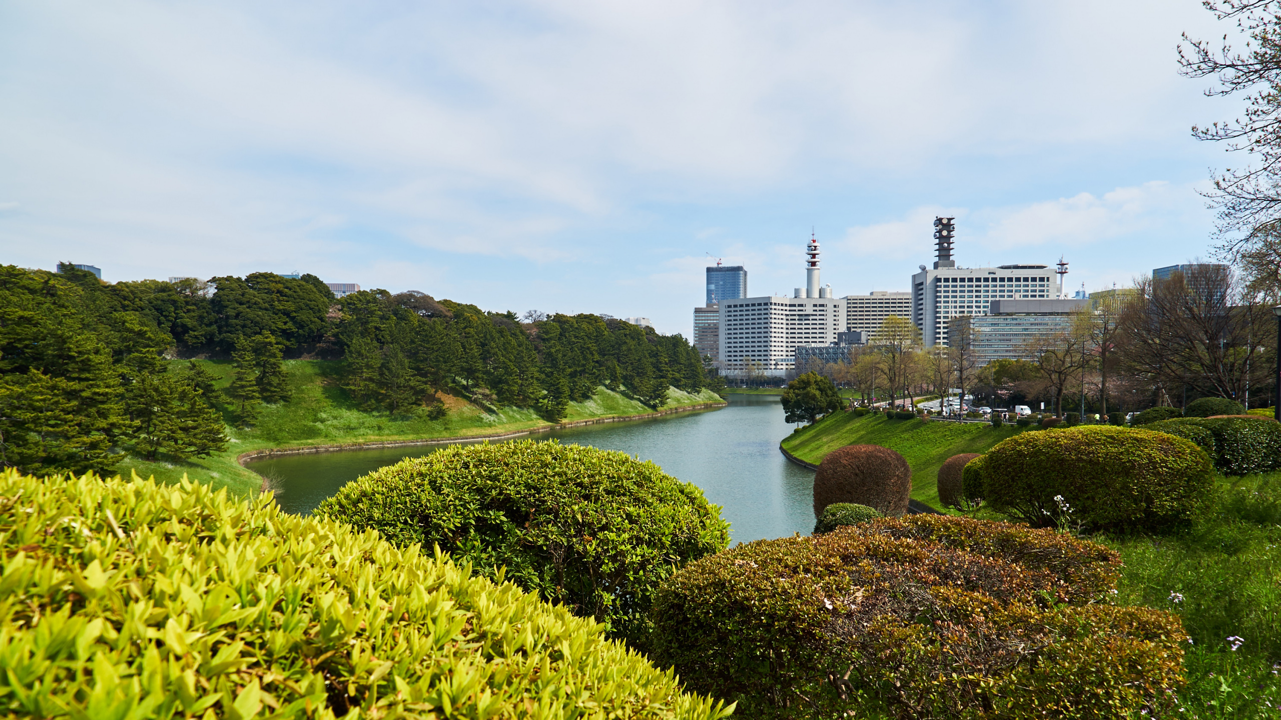 Обои вода, растительность, природа, сад, водный путь в разрешении 2560x1440