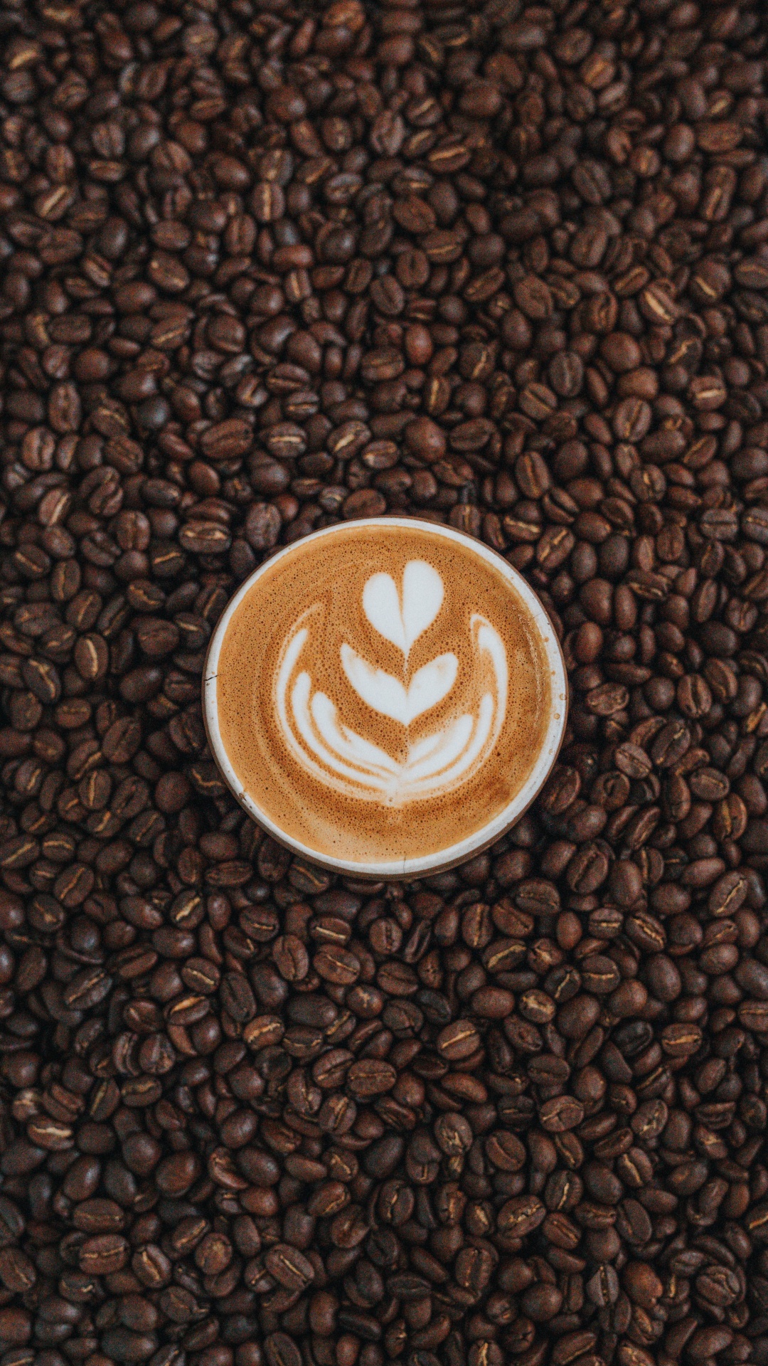 Обои Java кофе, Кона кофе, белый кофе, кофе, коричневый цвет в разрешении 1080x1920