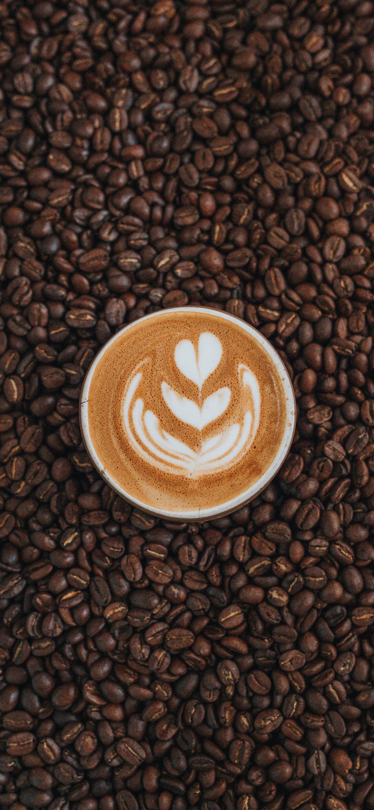 Обои Java кофе, Кона кофе, белый кофе, кофе, коричневый цвет в разрешении 1242x2688