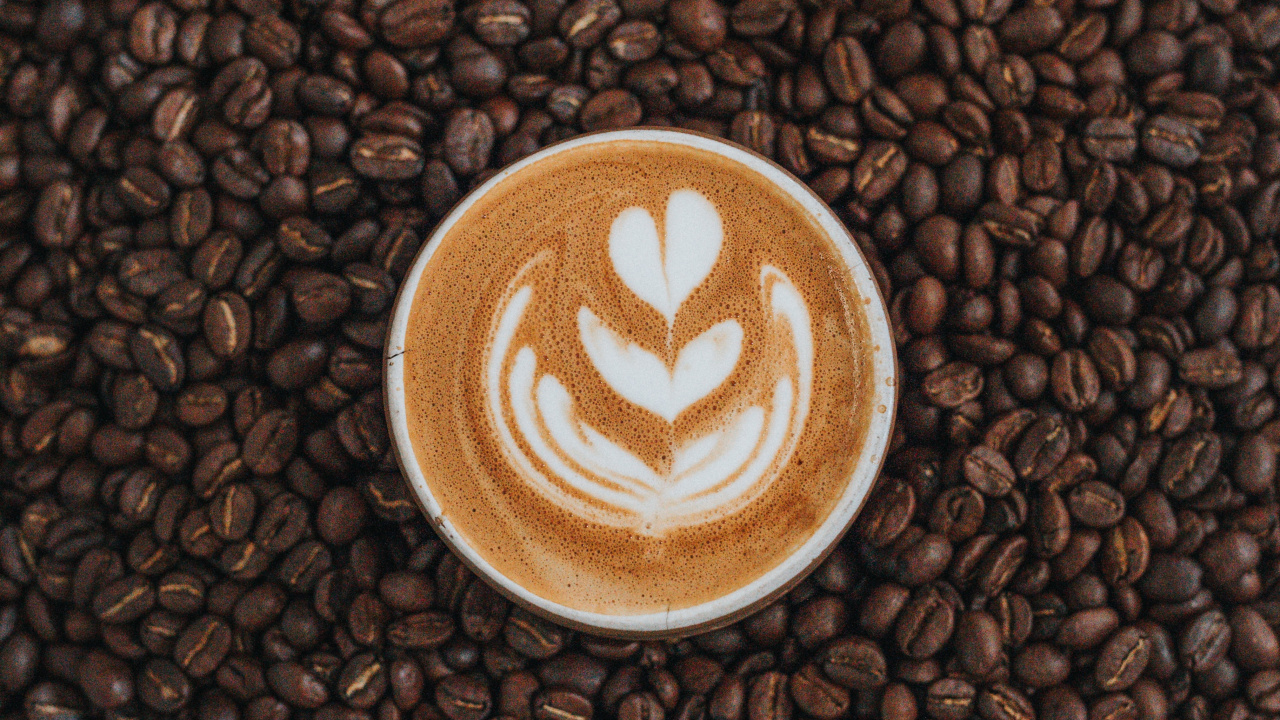 Обои Java кофе, Кона кофе, белый кофе, кофе, коричневый цвет в разрешении 1280x720