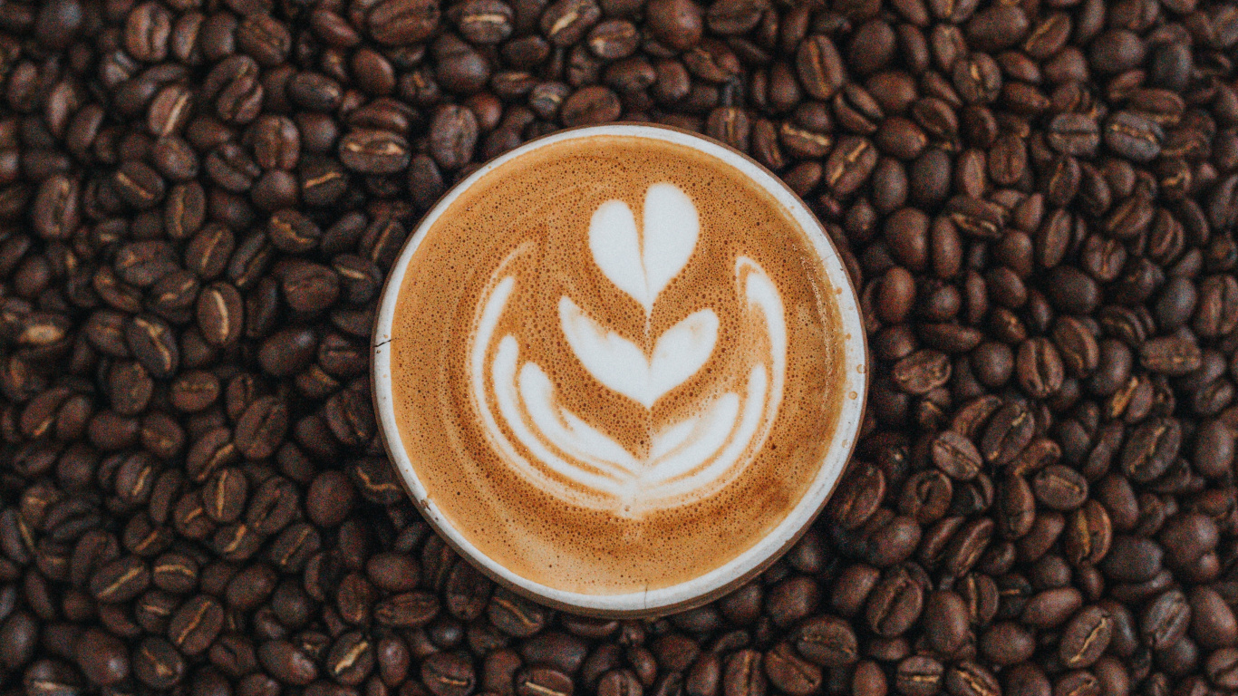 Обои Java кофе, Кона кофе, белый кофе, кофе, коричневый цвет в разрешении 1366x768