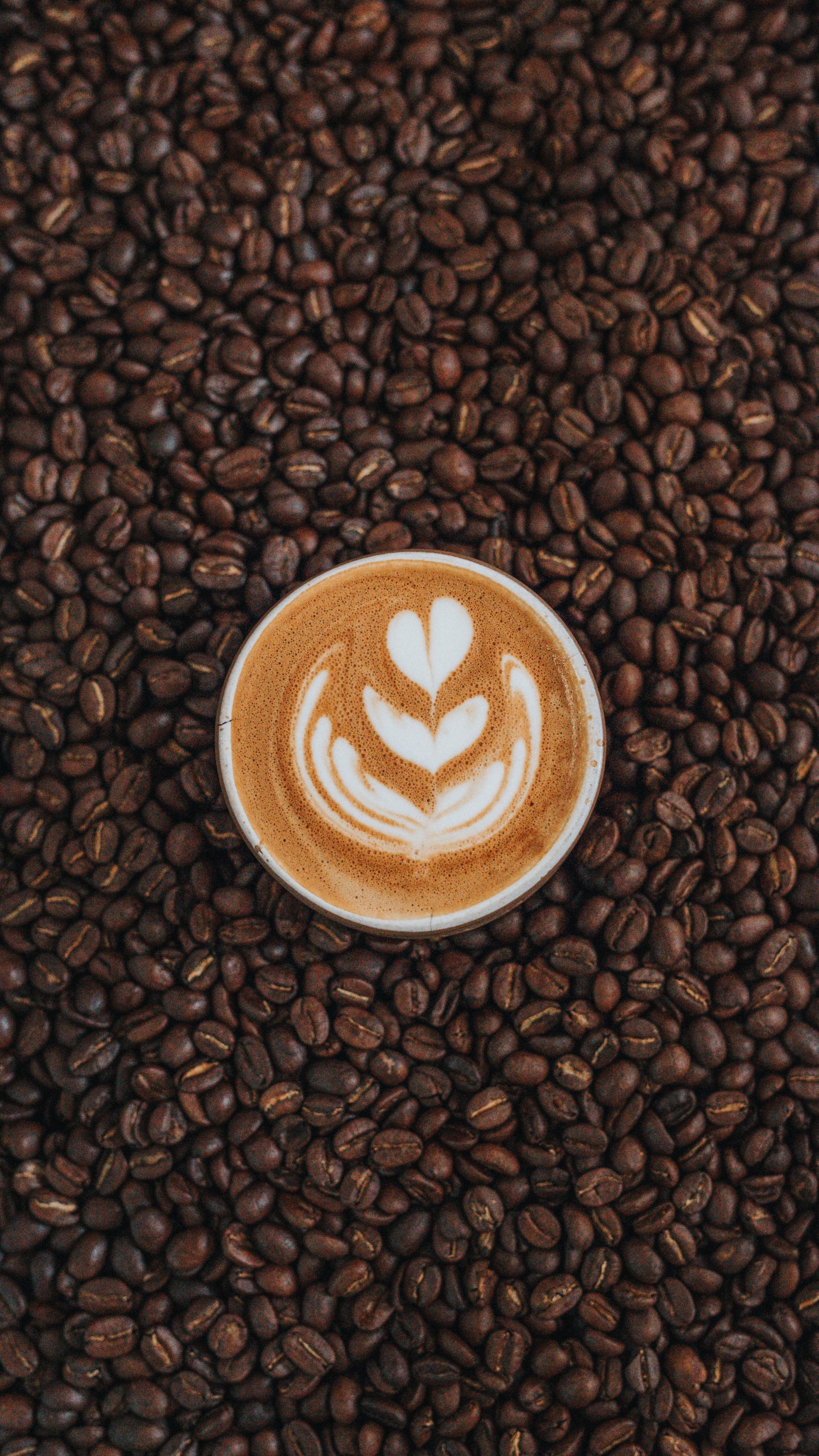 Обои Java кофе, Кона кофе, белый кофе, кофе, коричневый цвет в разрешении 1440x2560