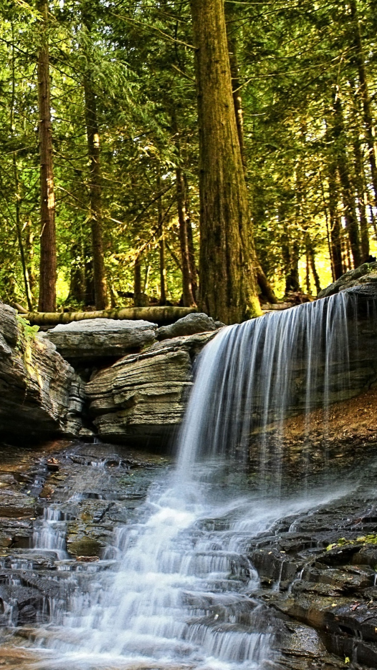 Обои водопад, водоем, природа, вода, природный заповедник в разрешении 750x1334