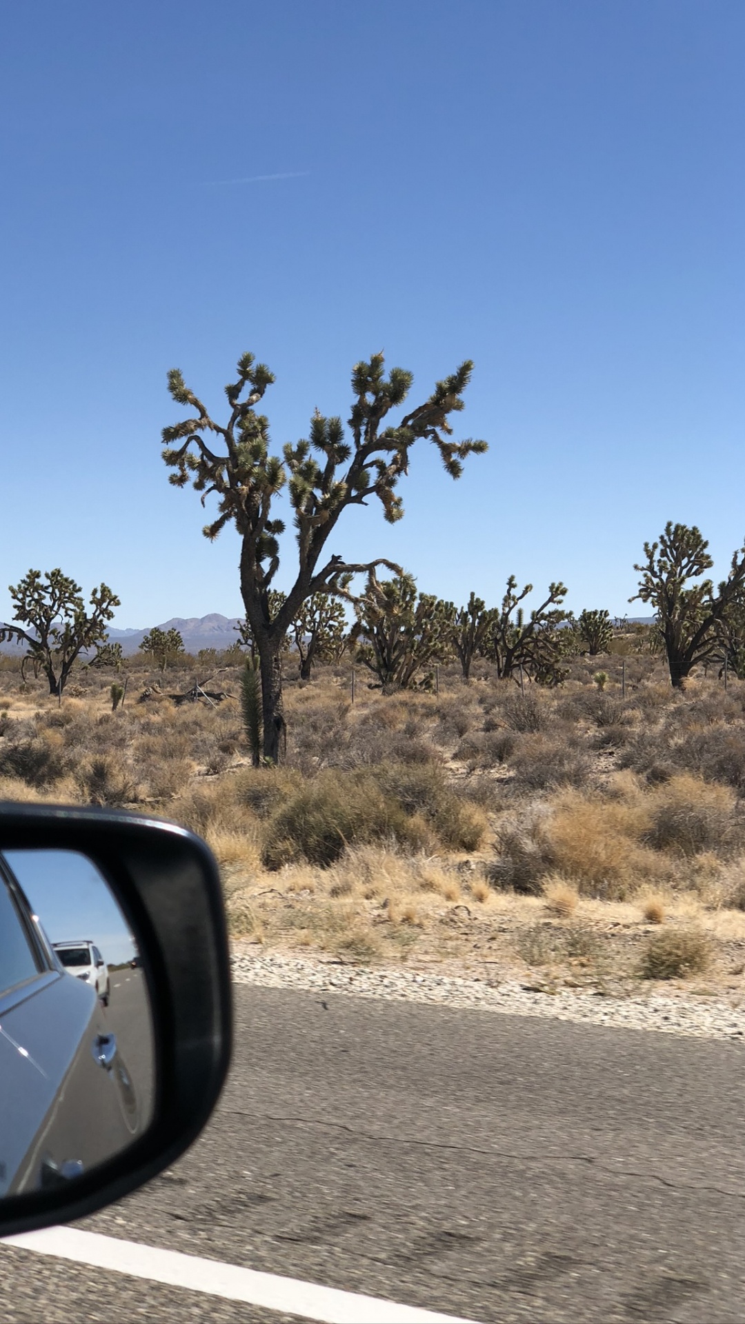 Обои дорога, Король, автомобильное зеркало, Автомобильное боковое зеркало, растительное сообщество в разрешении 1080x1920