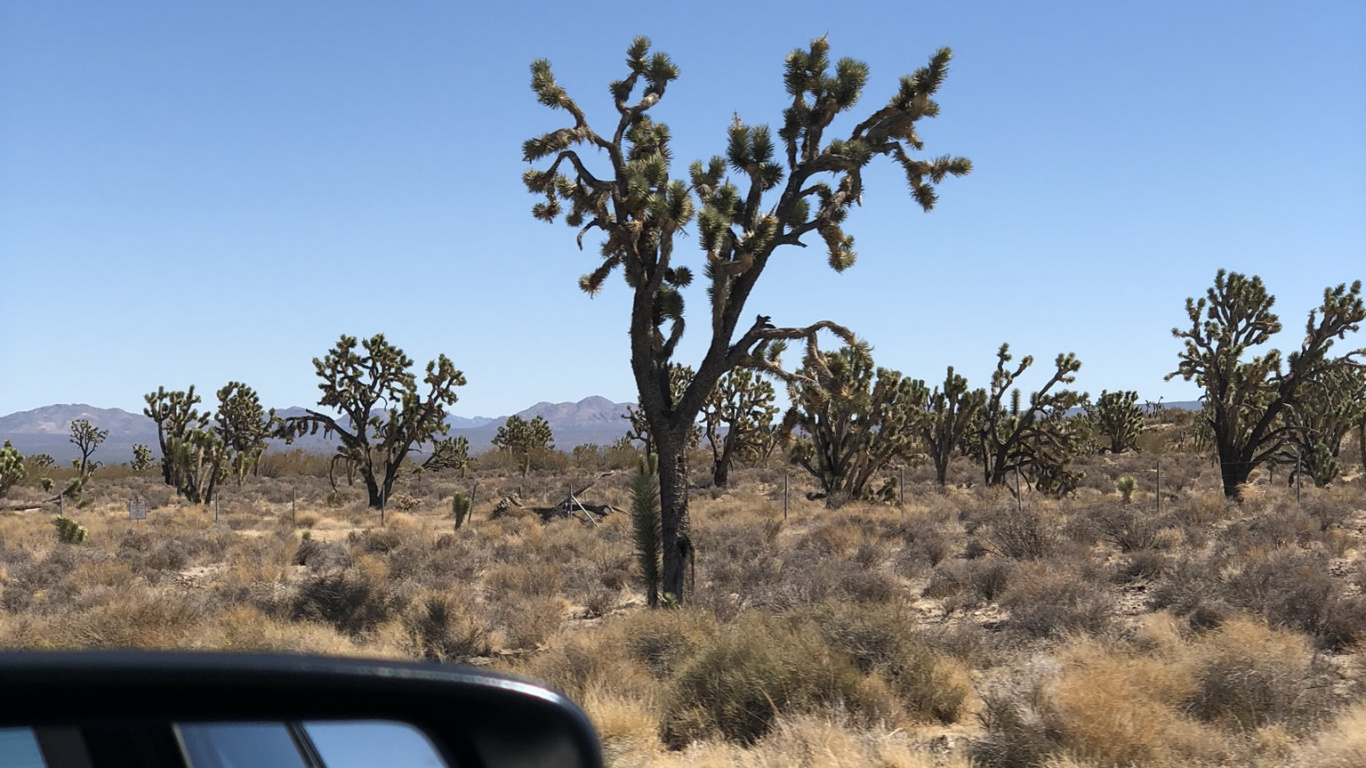 Обои дорога, Король, автомобильное зеркало, Автомобильное боковое зеркало, растительное сообщество в разрешении 1366x768