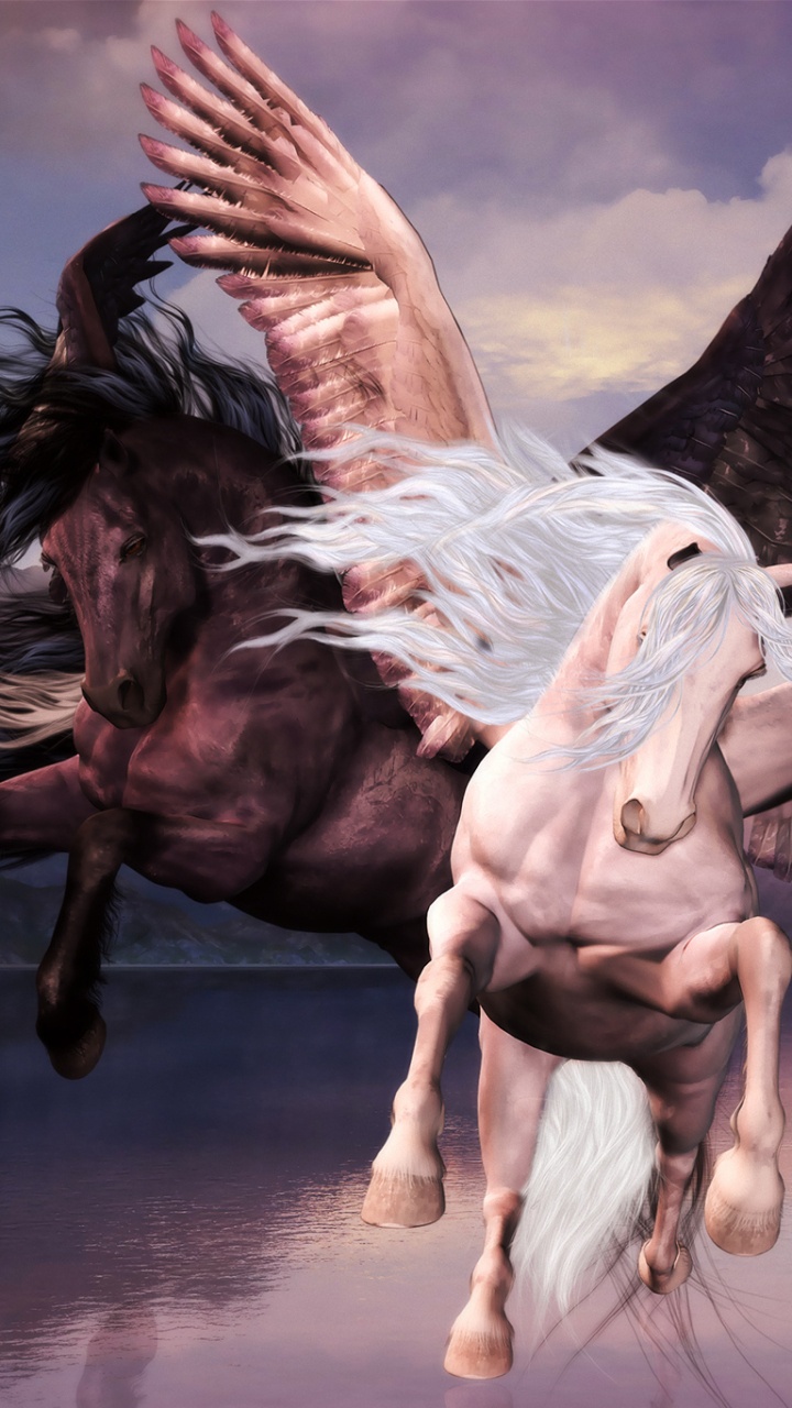 Обои Пегас, произведение искусства, арт, крыло, водоплавающие птицы в разрешении 720x1280