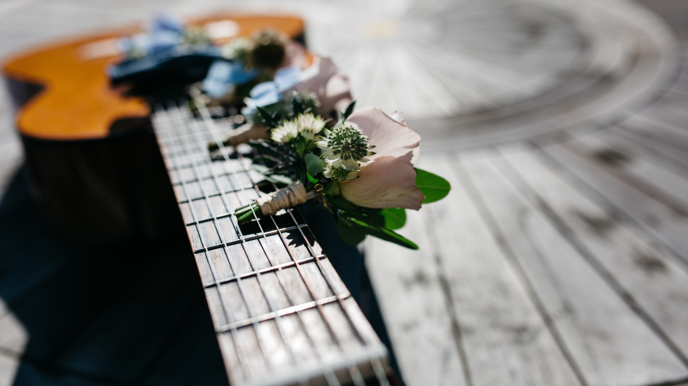 Обои гитара, акустическая гитара, цветок, растение, щипковые струнные инструменты в разрешении 1366x768