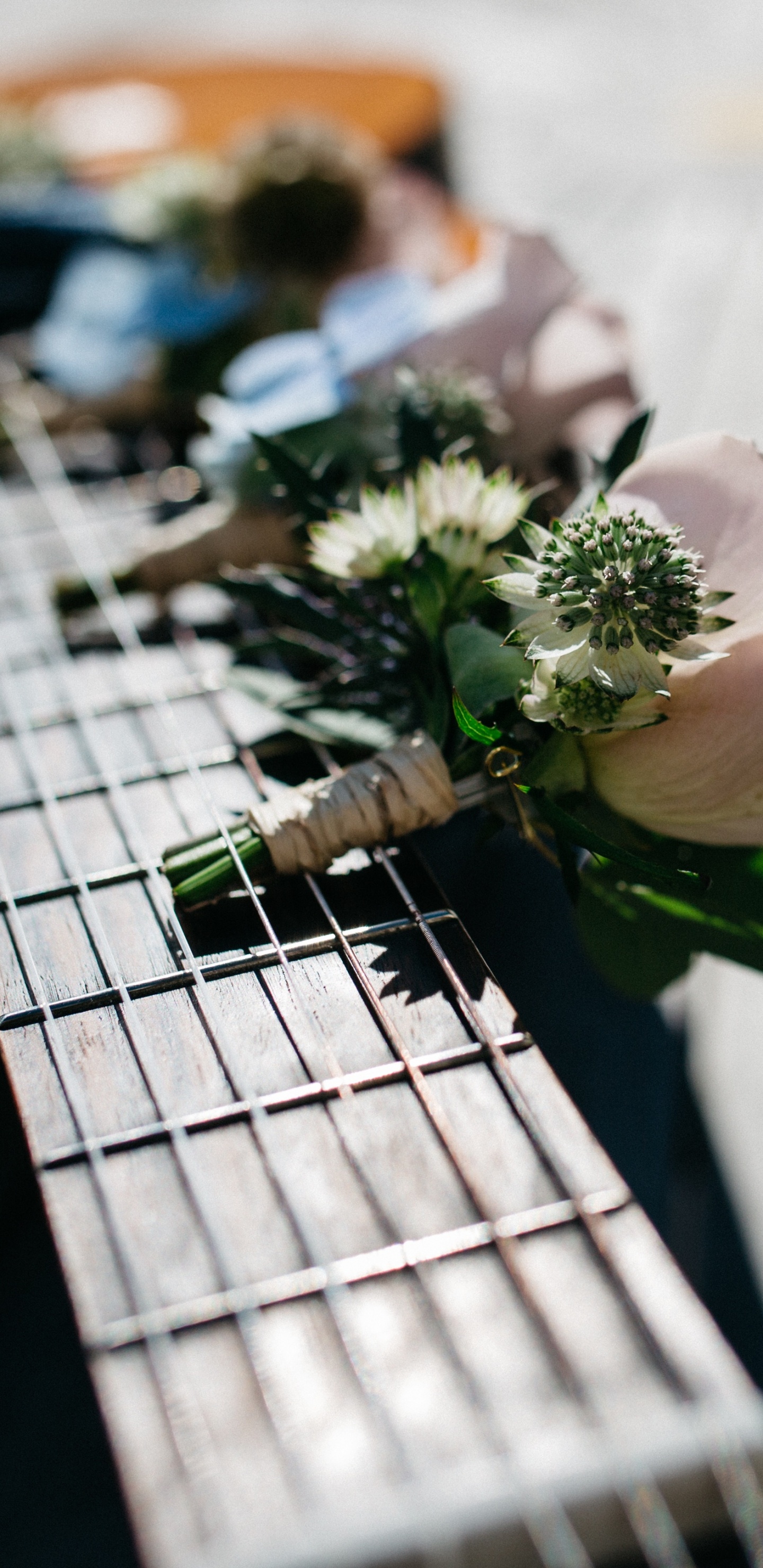 Обои гитара, акустическая гитара, цветок, растение, щипковые струнные инструменты в разрешении 1440x2960