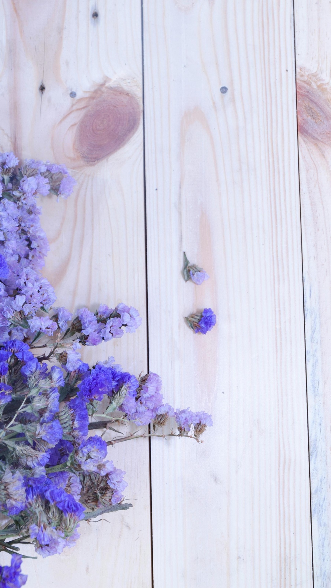 Обои царствование Брейшоу, цветок, лаванда, Астра, таблица в разрешении 1080x1920