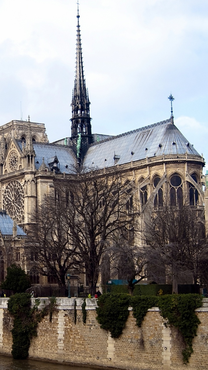 Обои НотрДам де Пари, сена, собор, водный путь, реки в разрешении 720x1280