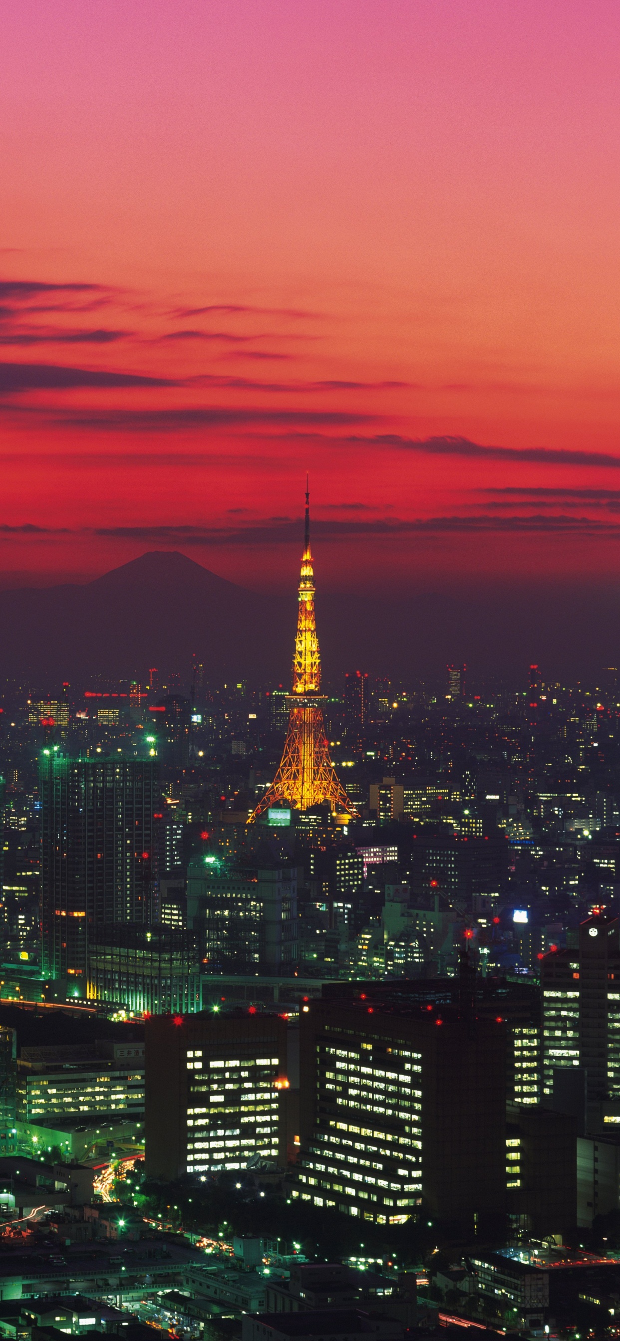 Обои городской пейзаж, город, метрополия, городской район, линия горизонта в разрешении 1242x2688