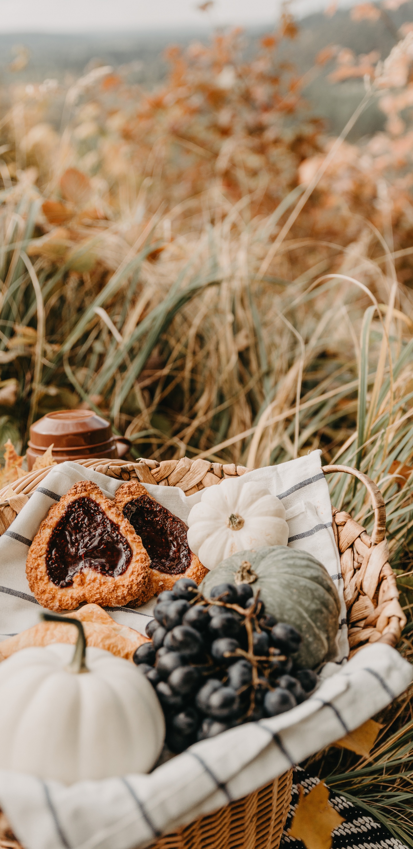 Обои пища, блюда, семейство травы, сладость, растение в разрешении 1440x2960