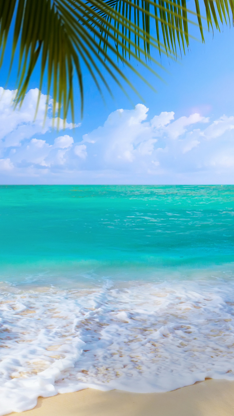 Обои берег, пляж, море, океан, водоем в разрешении 750x1334