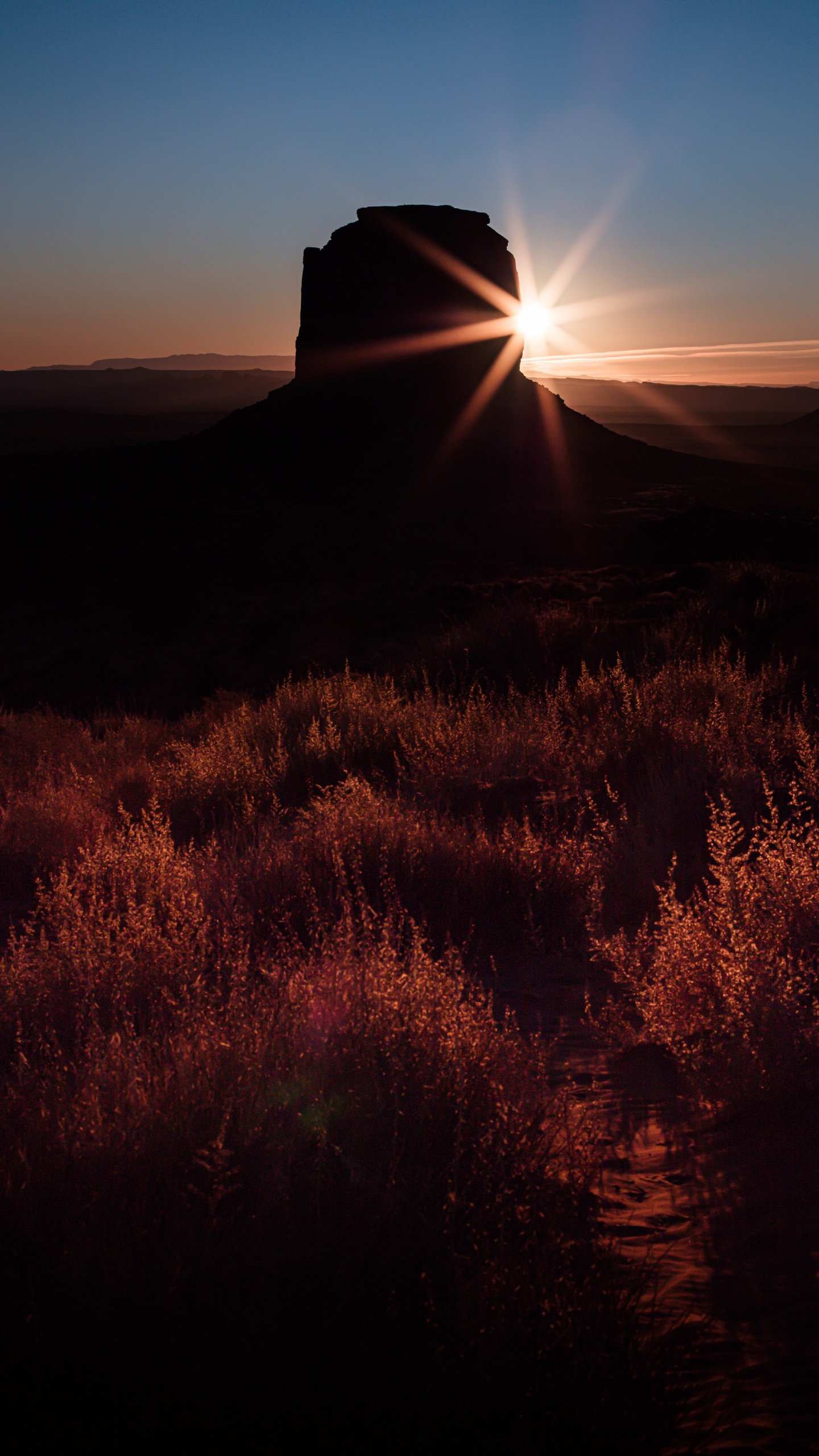 Обои закат, природа, природный ландшафт, горизонт, облако в разрешении 1440x2560