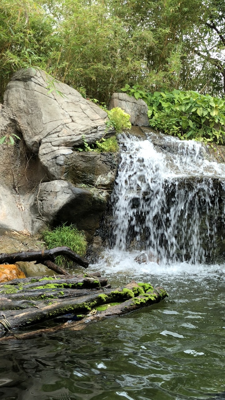 Обои природа, водопад, гидроресурсы, водоток, вода в разрешении 720x1280