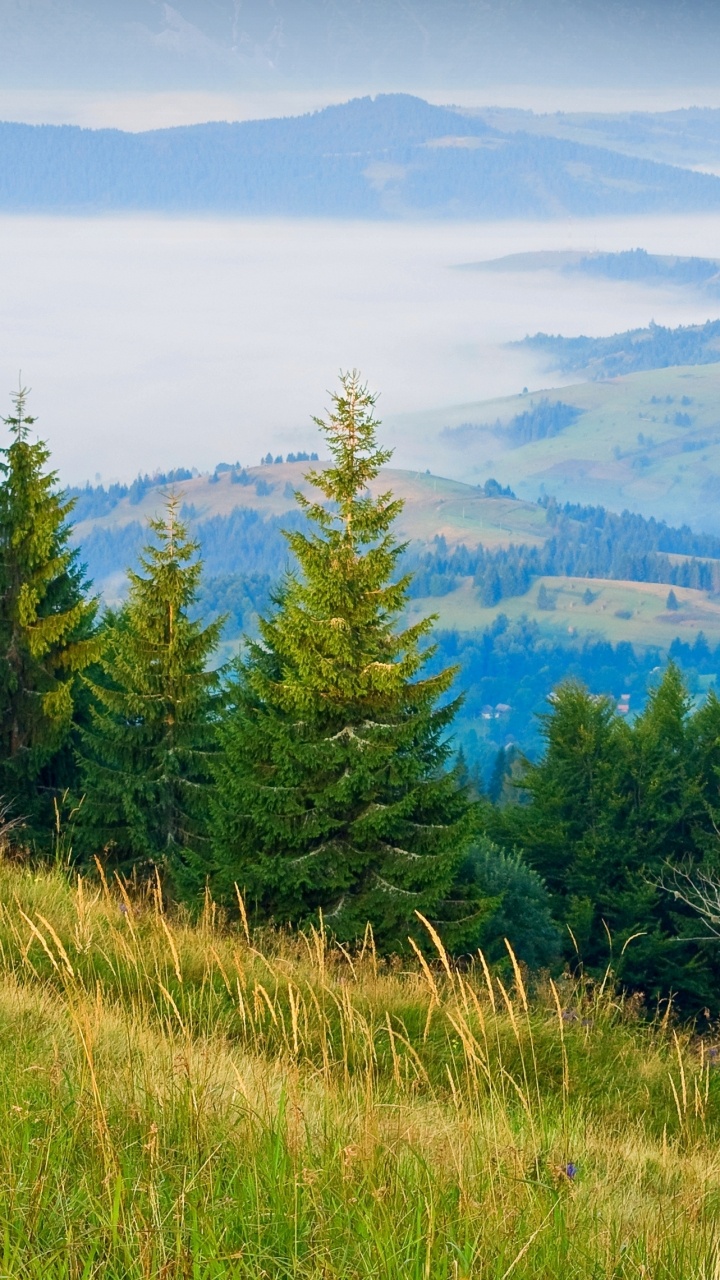 Обои горный рельеф, природа, дикая местность, растительность, природный заповедник в разрешении 720x1280