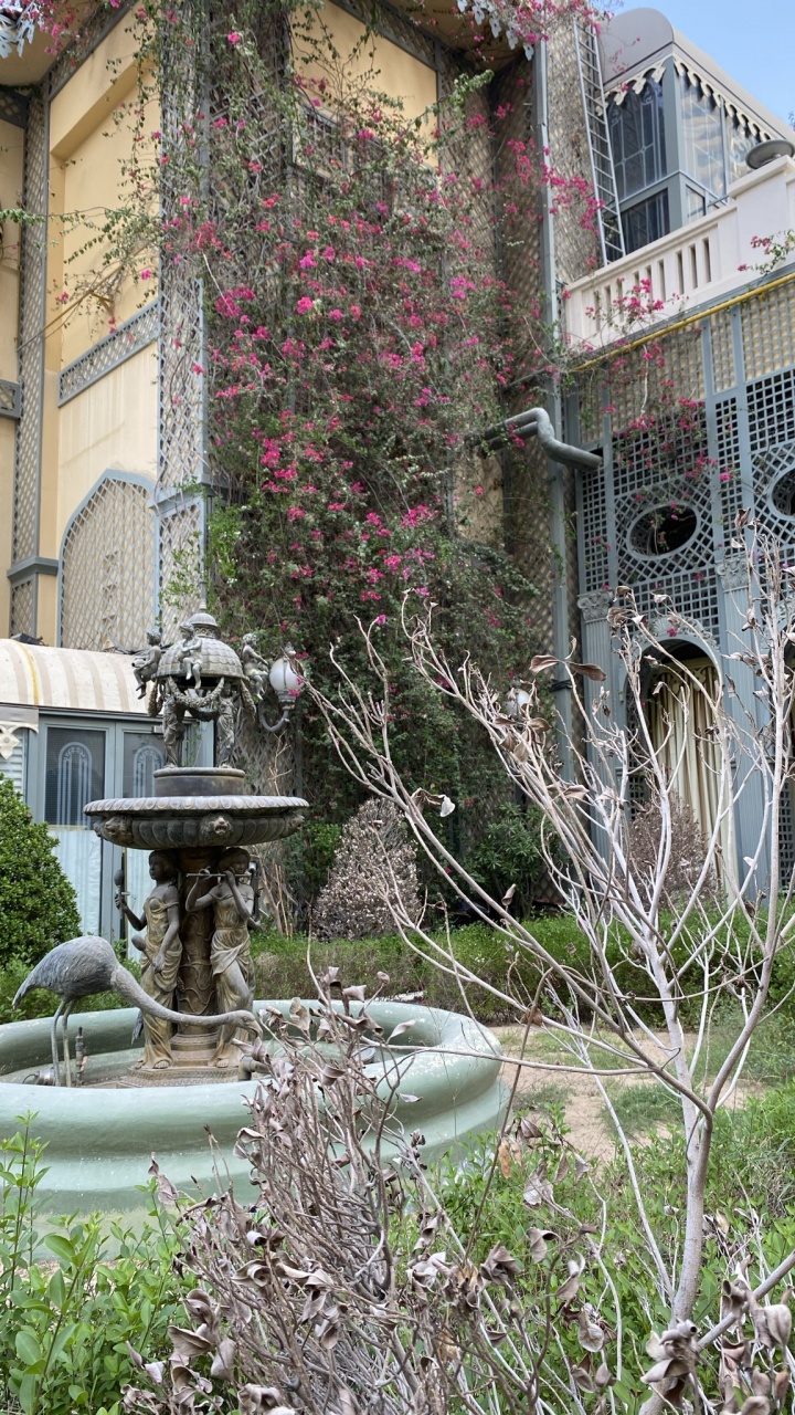 Обои дерево, фонтан, водные элементы, сад, двор в разрешении 720x1280