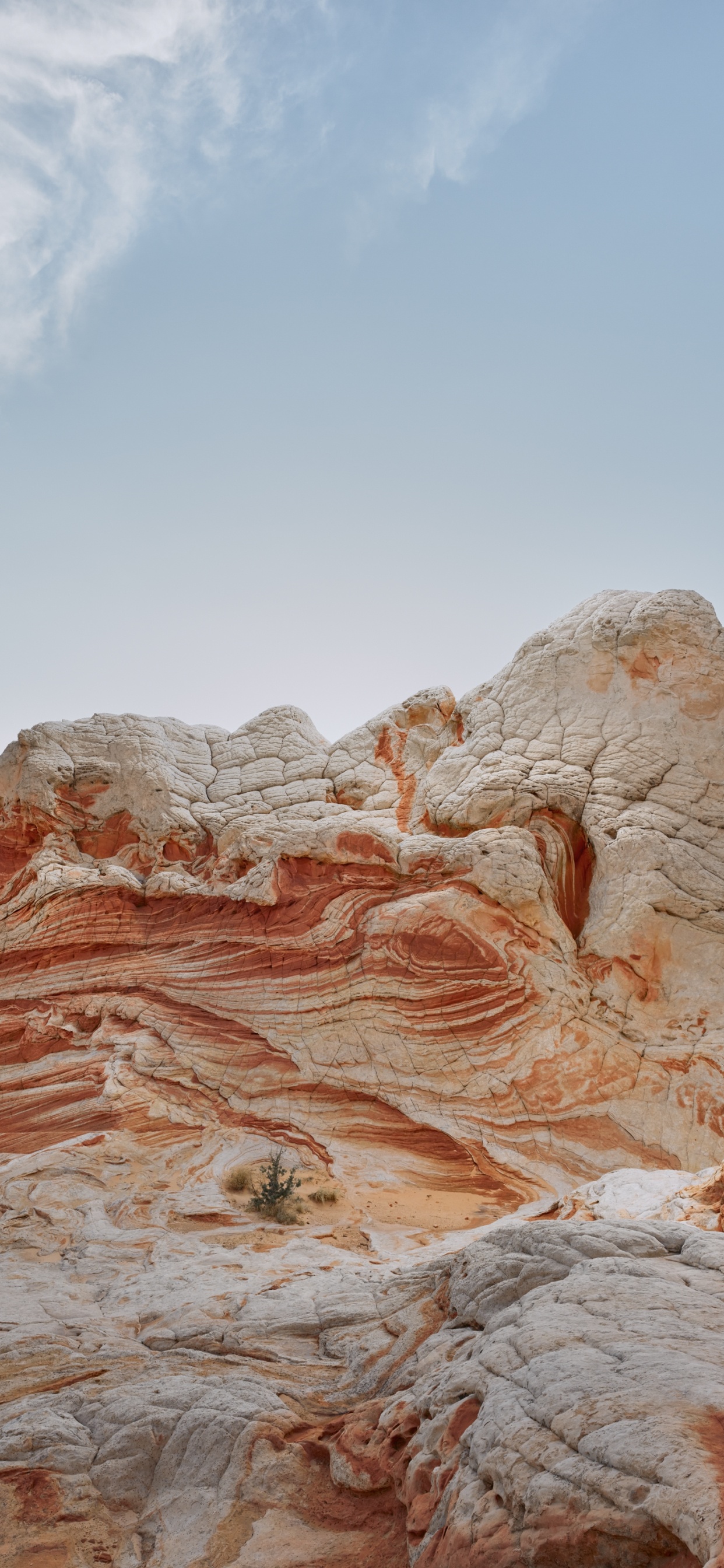 Обои айпад, ipad pro, apple, iPad Air, iOS 14 в разрешении 1242x2688