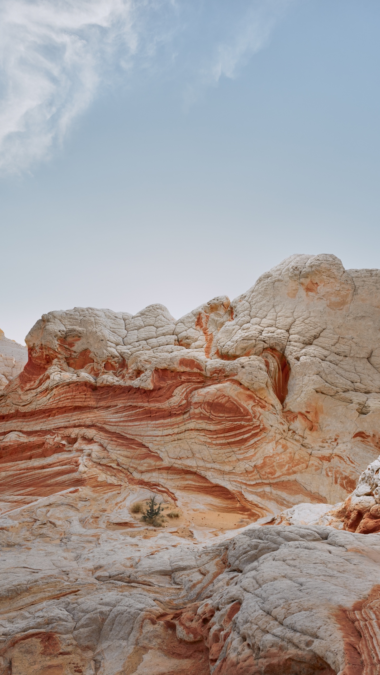 Обои айпад, ipad pro, apple, iPad Air, iOS 14 в разрешении 1440x2560