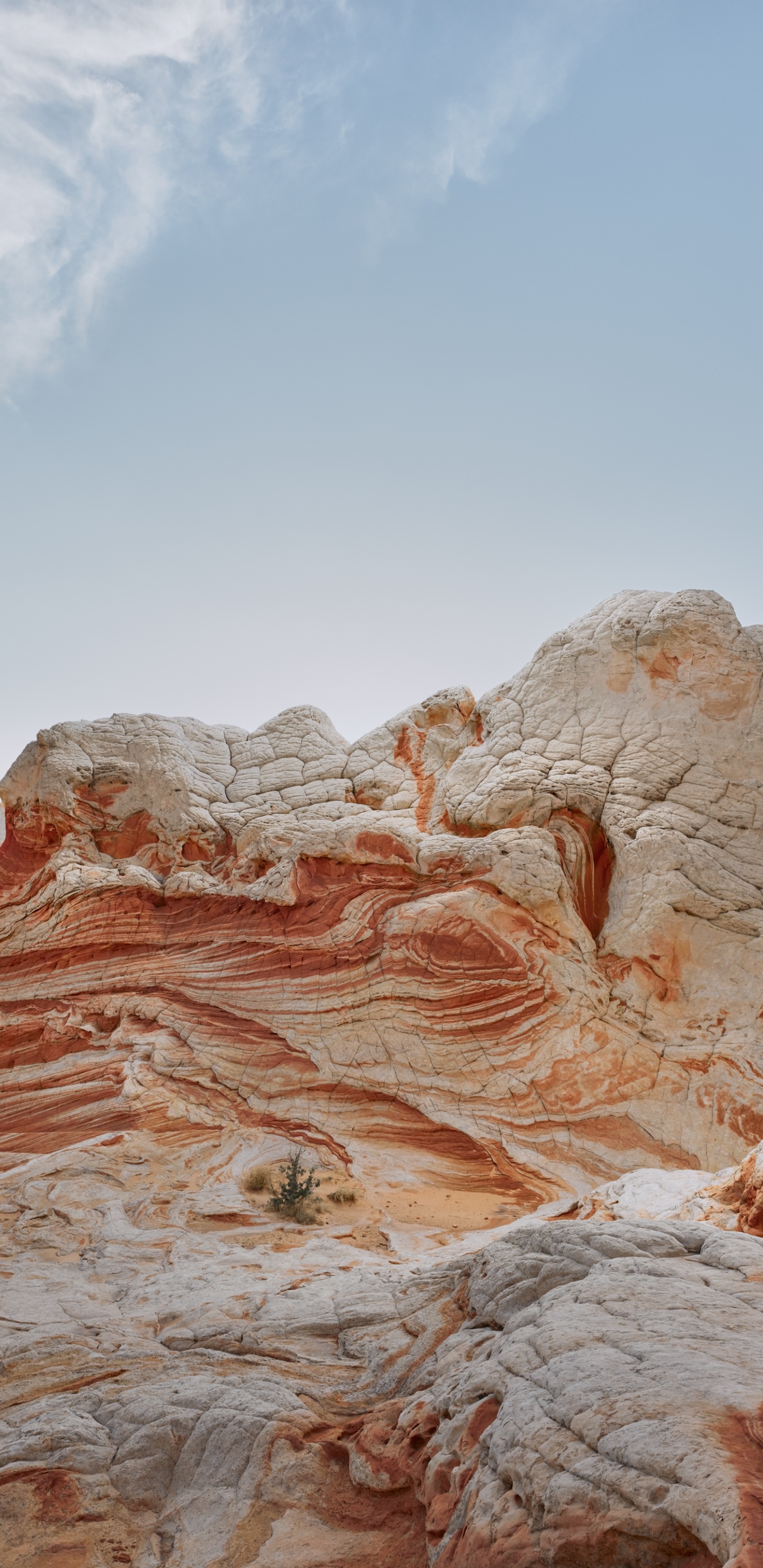 Обои айпад, ipad pro, apple, iPad Air, iOS 14 в разрешении 1440x2960