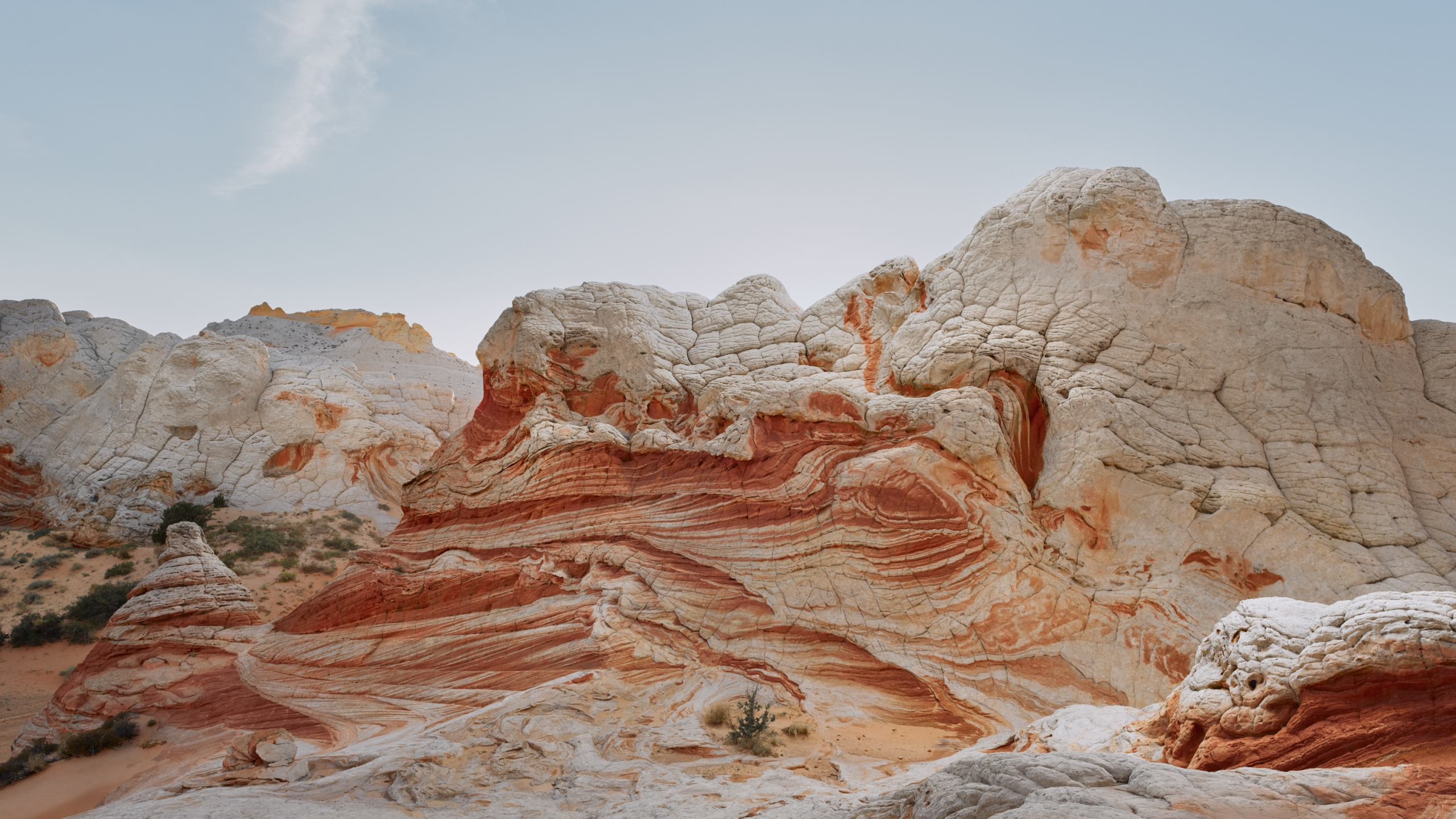 Обои айпад, ipad pro, apple, iPad Air, iOS 14 в разрешении 2560x1440