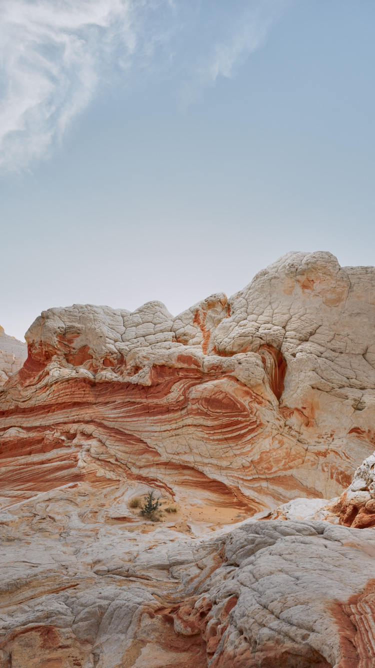 Обои айпад, ipad pro, apple, iPad Air, iOS 14 в разрешении 750x1334