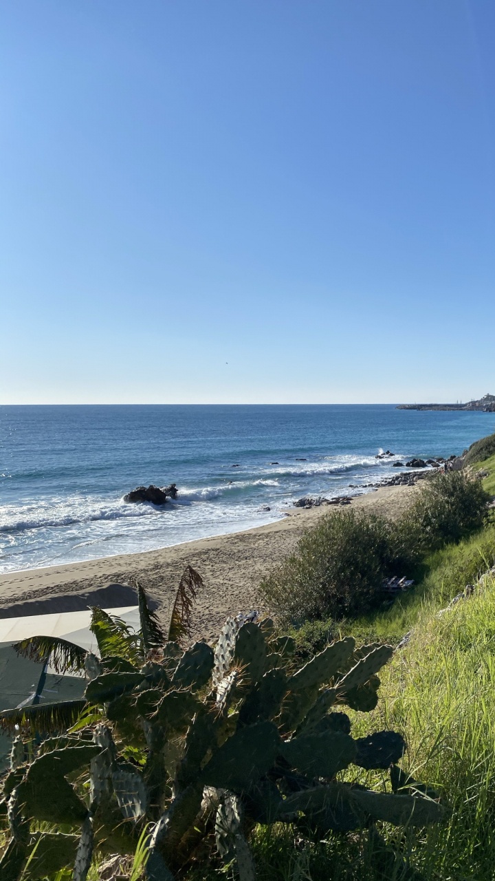 Обои национальный парк Куршская коса, вода, растение, экорегион, природный ландшафт в разрешении 720x1280