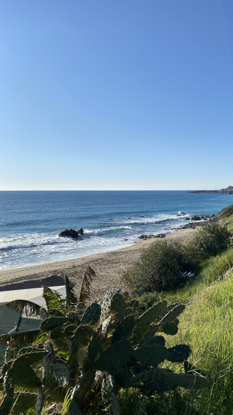 Обои национальный парк Куршская коса, вода, растение, экорегион, природный ландшафт в разрешении 750x1334