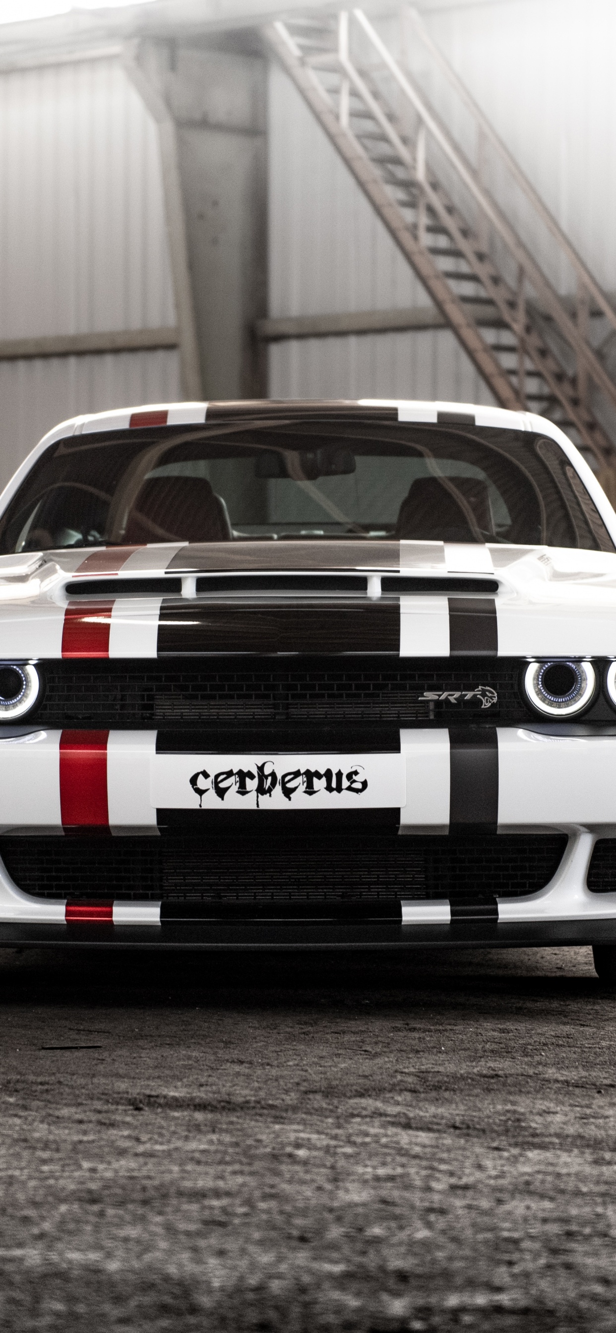 Обои dodge, 2019 Додж Челленджер СРТ мегеру, авто, мускул кар, бампер в разрешении 1242x2688