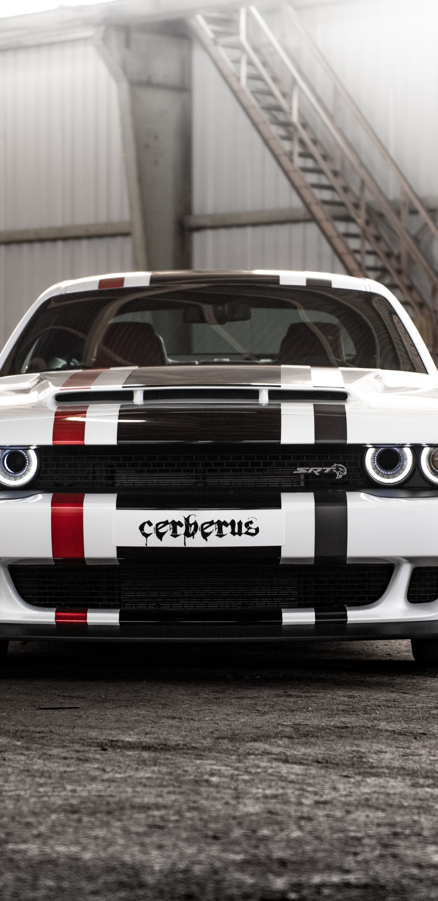 Обои dodge, 2019 Додж Челленджер СРТ мегеру, авто, мускул кар, бампер в разрешении 1440x2960