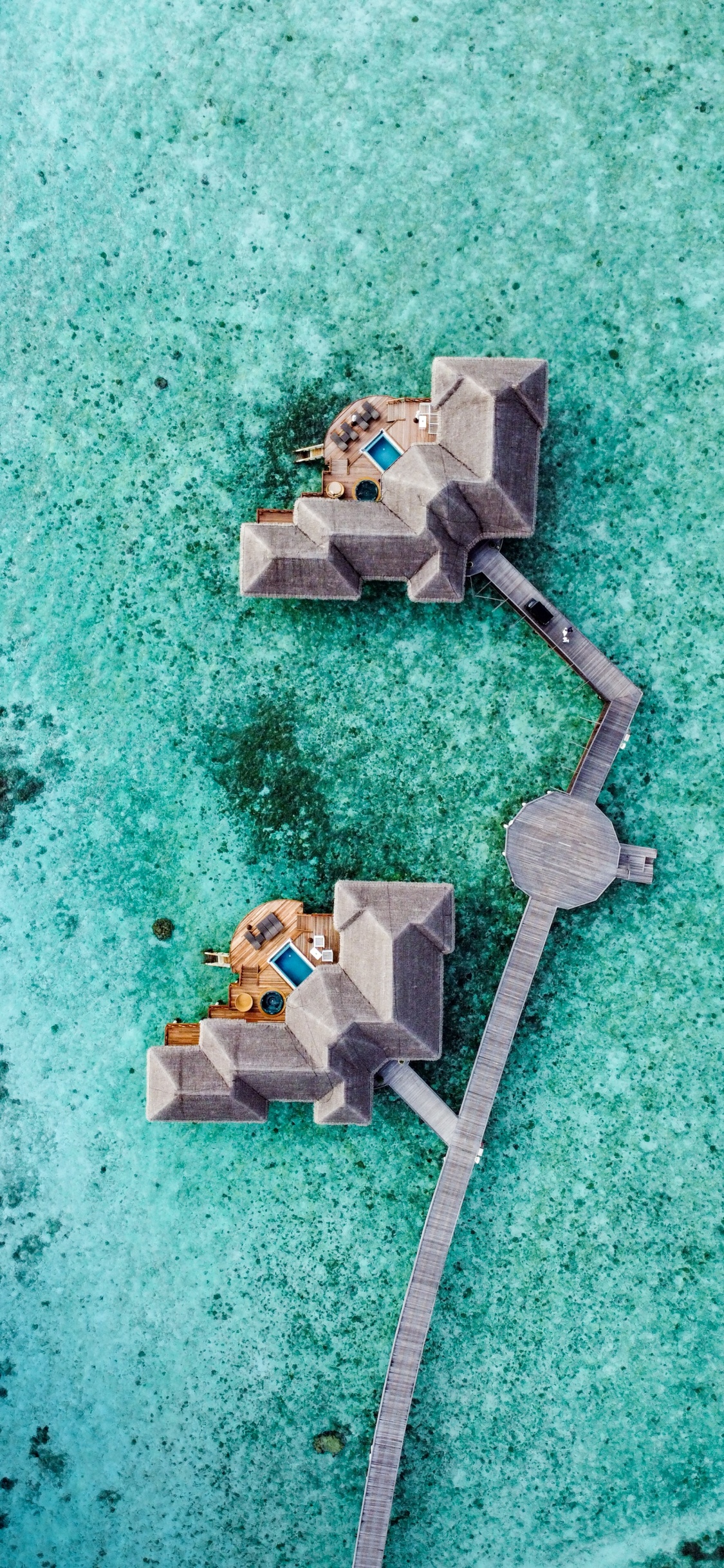 Обои море, зеленый, бирюза, электроника, водоем в разрешении 1125x2436