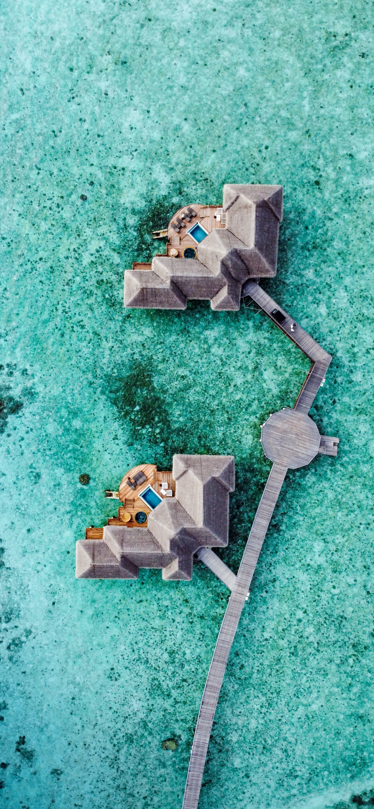 Обои море, зеленый, бирюза, электроника, водоем в разрешении 1242x2688