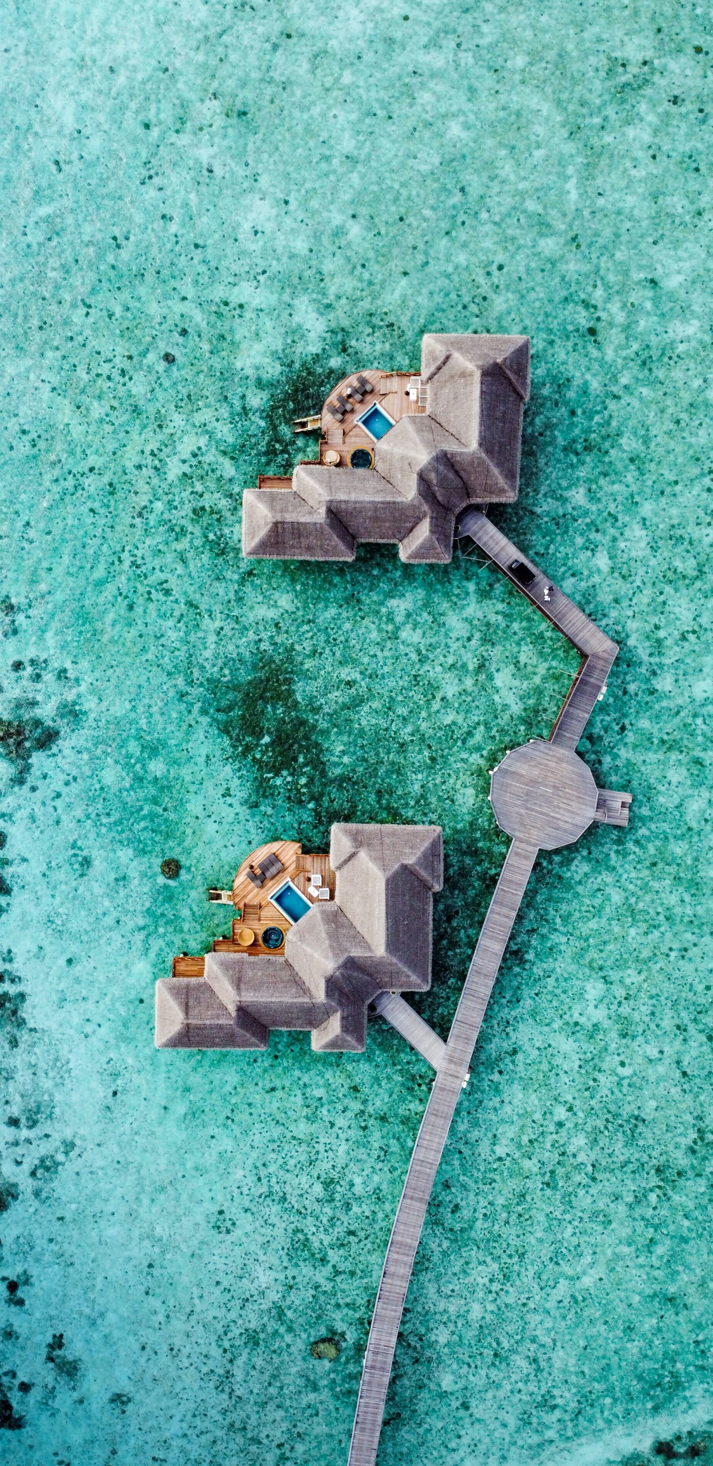 Обои море, зеленый, бирюза, электроника, водоем в разрешении 1440x2960