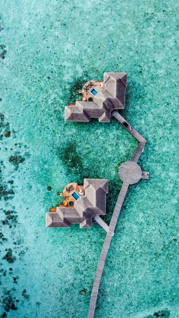 Обои море, зеленый, бирюза, электроника, водоем в разрешении 750x1334