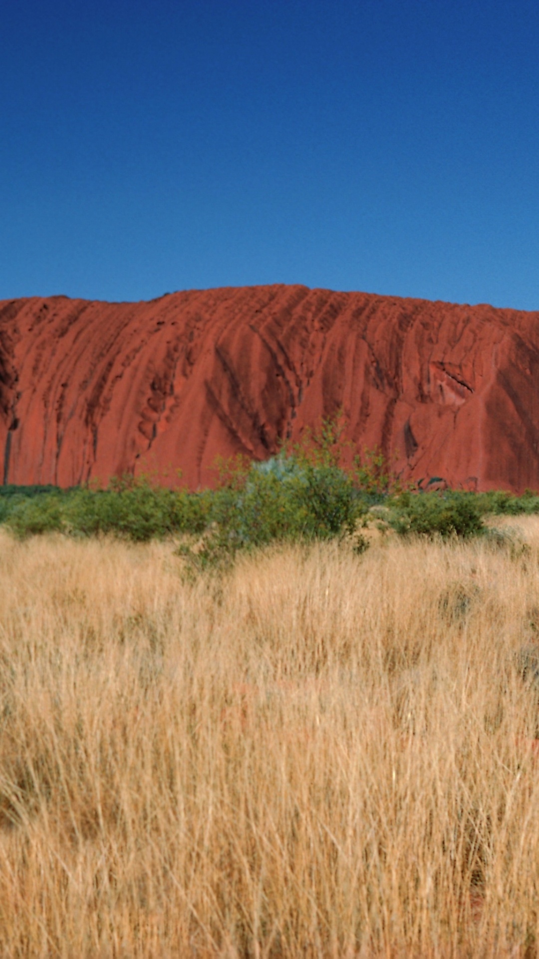 Обои Улуру, захолустье, рок, природный ландшафт, бесплодные земли в разрешении 1080x1920