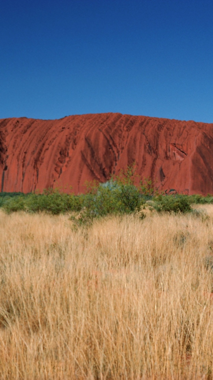 Обои Улуру, захолустье, рок, природный ландшафт, бесплодные земли в разрешении 720x1280