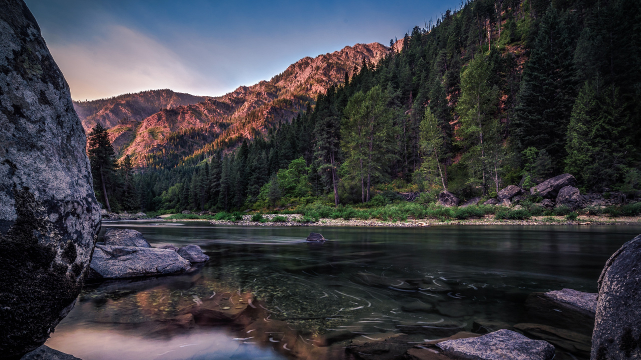 Обои отражение, дерево, природа, вода, реки в разрешении 1280x720